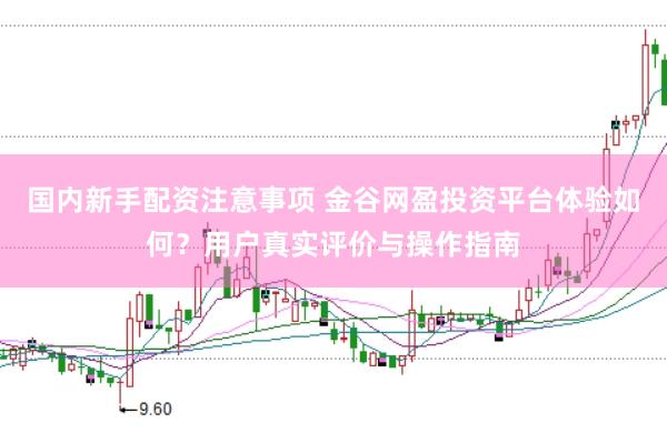 国内新手配资注意事项 金谷网盈投资平台体验如何？用户真实评价与操作指南