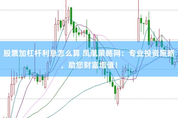 股票加杠杆利息怎么算 凤凰策略网：专业投资策略，助您财富增值！