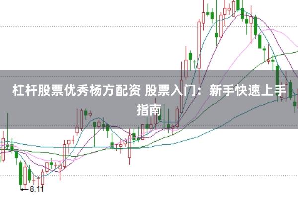 杠杆股票优秀杨方配资 股票入门：新手快速上手指南
