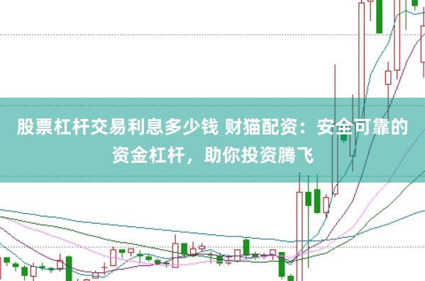 股票杠杆交易利息多少钱 财猫配资：安全可靠的资金杠杆，助你投资腾飞